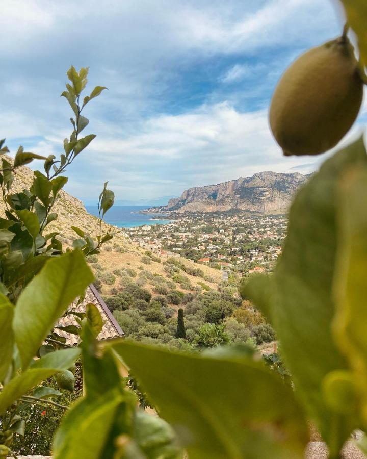 דירות מונדלו L'Oasi Dell'Eremita מראה חיצוני תמונה